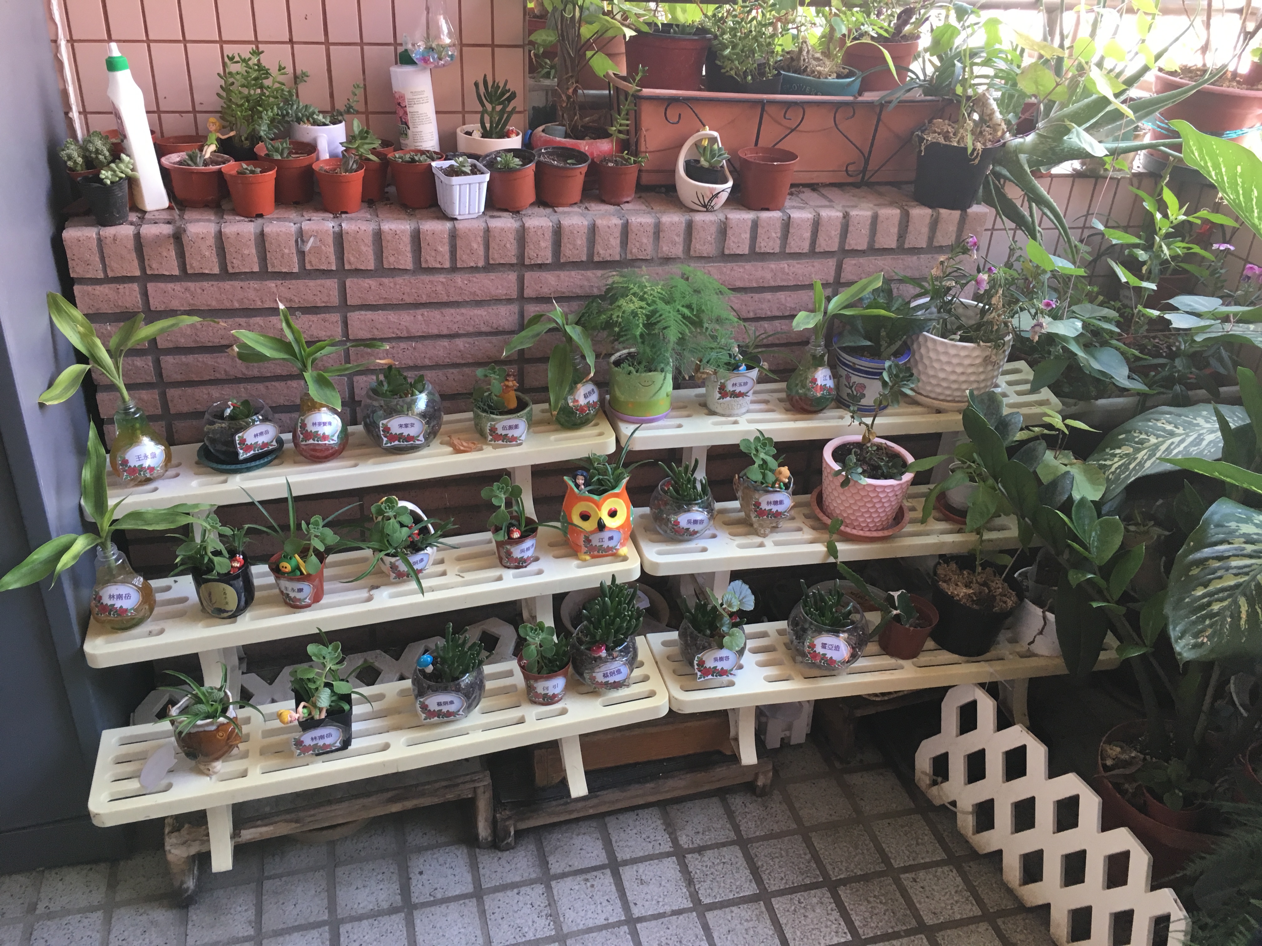 照片_戶外陽台區，每個人都有一盆小植物要照顧